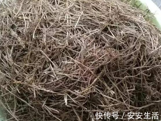 养花浇水,把控不好总引起烂根盆底铺垫上它们,轻松养根护根