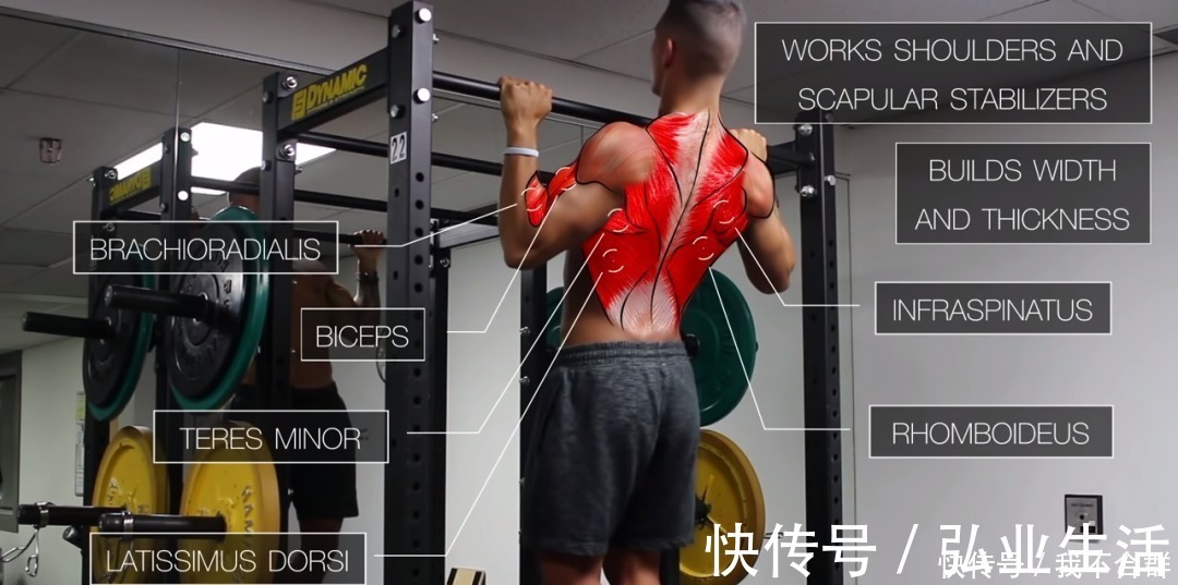 引体向上|一套高效全面的背部训练,练出圣诞树背!