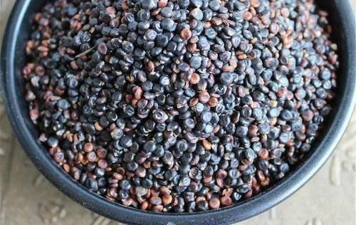 这五组中药名字仅一字之差,功效却天壤之别,日常养生别用错