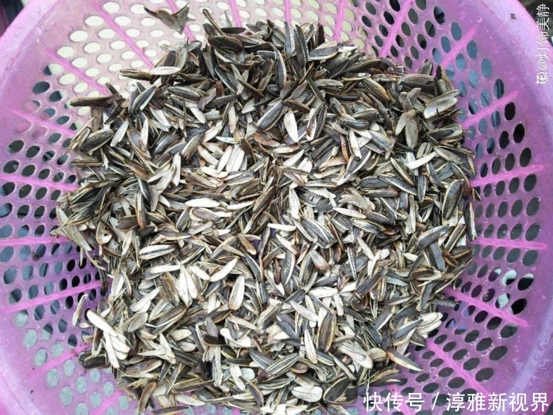 换盆用它垫盆底，养花效果非常好，花卉越长越旺盛！