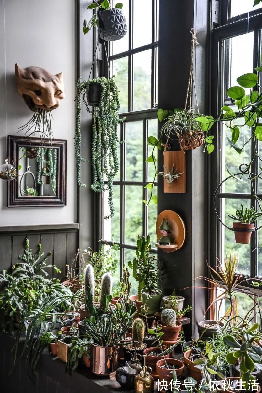 她在屋里种满500盆植物：呆在这样的房子里，生活更有了诗意！