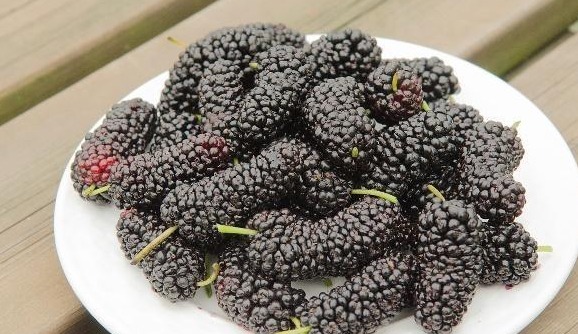 伤身|酒精最怕的不是茶,而是此物,酒后来一点,轻松解酒不伤身!