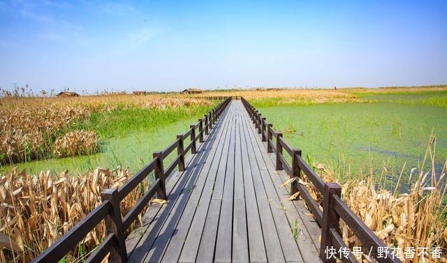 深度|生活没有苟且(深度美文)