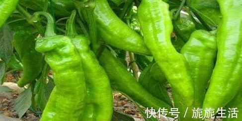 南瓜|女性到了中年,常吃3种食物,袪皱淡斑,排毒养颜,保养子宫