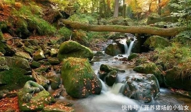 少女|18张图都隐藏着少女,找出6个正常,9个聪明,14个以上天才