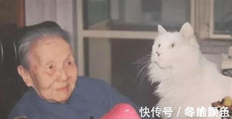 徐志摩@被鲁迅瞧不起,被林徽因怼,为何同时期的文人,都讨厌冰心?