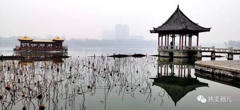 大牌坊|济南故事｜跟我从芙蓉街到大明湖，一起感受济南古城风韵吧