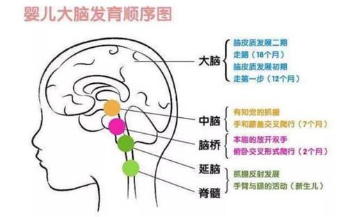 智商|哈佛研究：宝宝大脑发育高峰期有三次，抓住一次，智商远超同龄娃