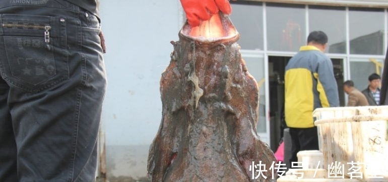 收获|男子收获一条像癞蛤蟆的怪鱼，发现鱼嘴合不上，掰开看后乐了