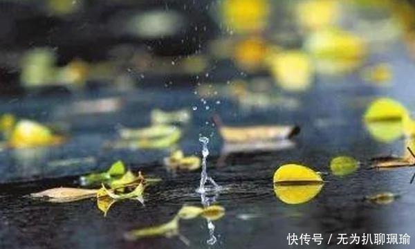宋词!宋词里的“一场秋雨”,淅淅沥沥已下了千年,湿了岁月也湿了眼眶