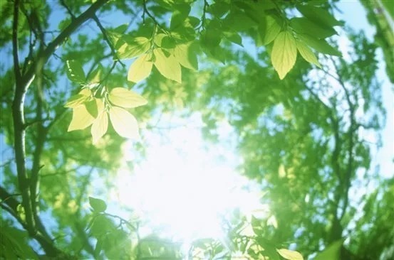 黄帝内经|阳气,是世界上最好的医生