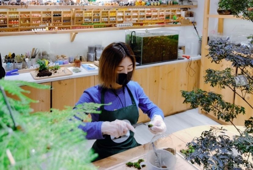 冬天的峨眉一个童话般的冰雪世界，真是美不胜收