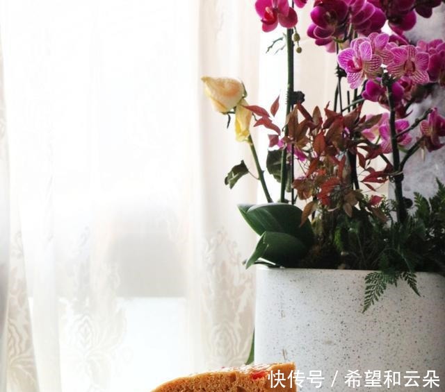 春天,我迷上了这款早餐,一拌一蒸不上火,好吃健康,全家都爱吃!