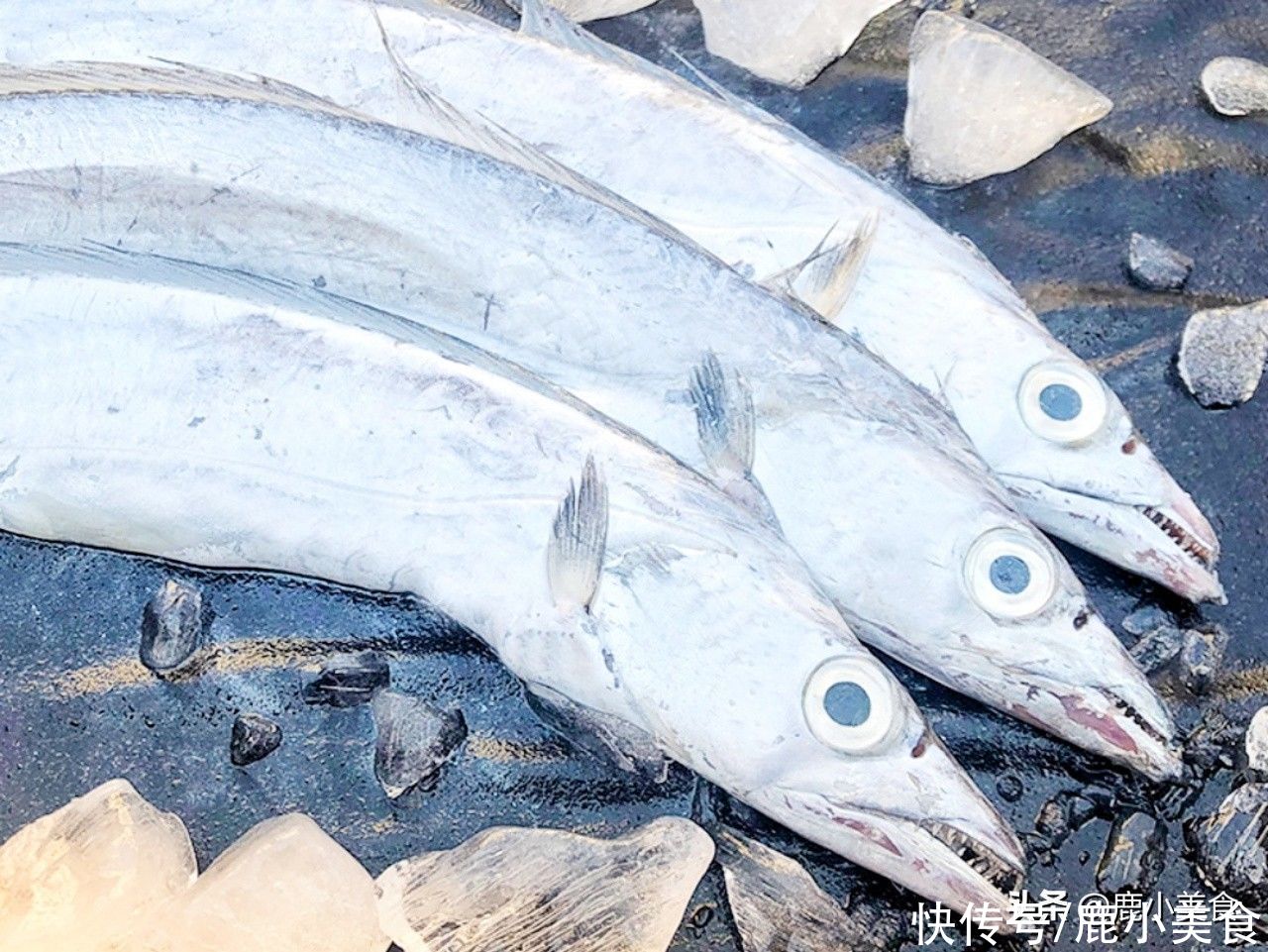 鱼腥味|买带鱼不能只看大小，牢记“挑带鱼3招”，新鲜肥美，少花冤枉钱