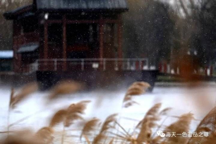 百脉泉|雪泉共舞，百脉氤氲：泉城第一场雪，百脉泉飞花穿庭，盛雪芳华