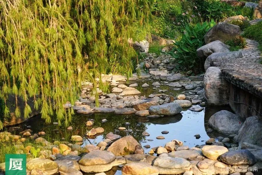 花溪|1日游必去！厦门这条跨山向海的景观大道串起超多小众美景！这么玩才过瘾