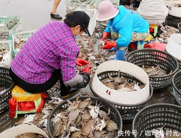 买梭子蟹时,说这“4个字”,老板就知道你是行家,准给你肥蟹
