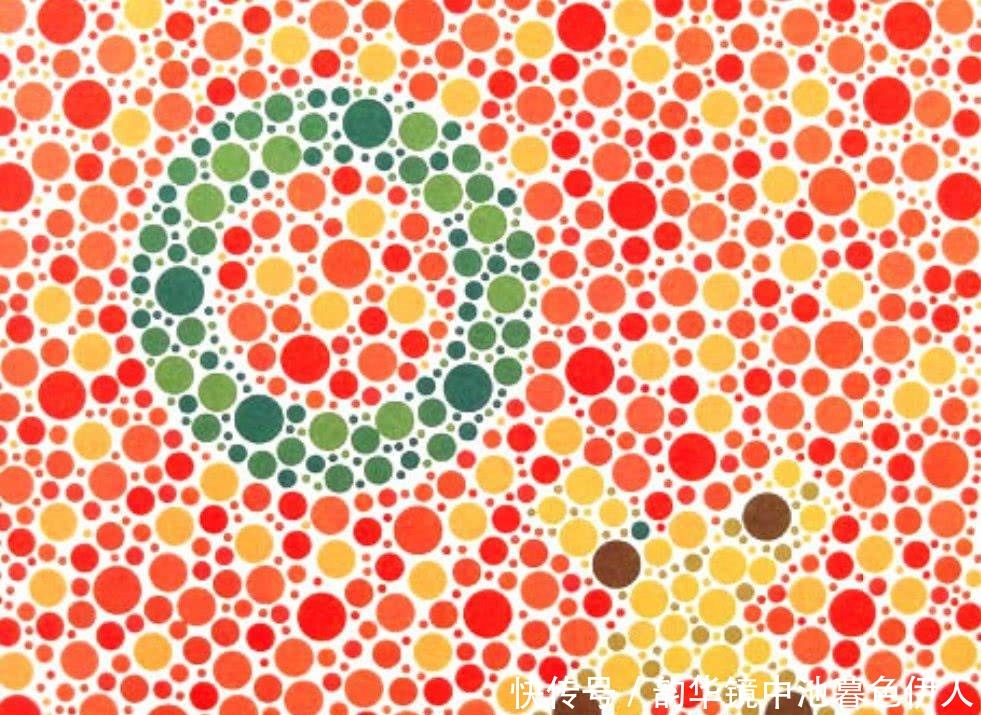 图片 色盲测试:第一张是飞机,最后一张的图案,“马虎”的人认不出!