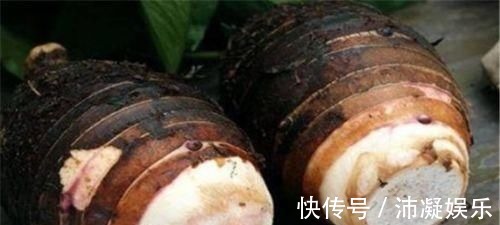 抗衰|对女性很有益的3种食物,不妨常吃,排毒清肠,祛皱抗衰