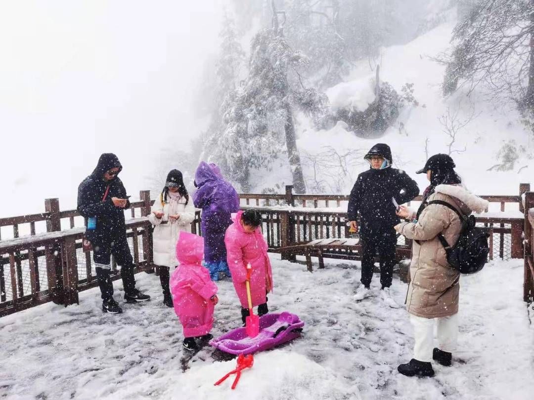 春节假期余额不足 图书馆、文化馆、博物馆等室内场馆游客大幅增加