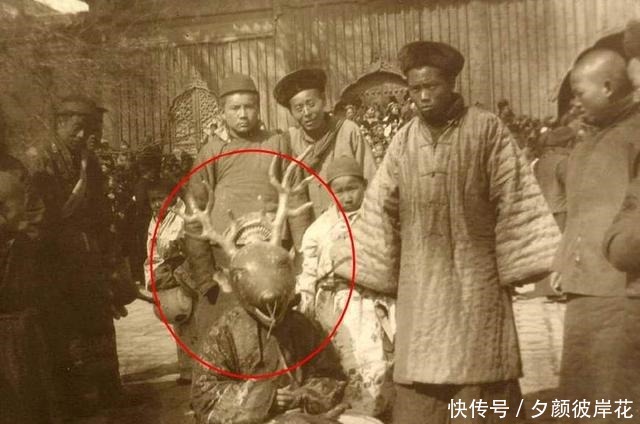 片中的人|清末奇葩老照片儿童出门戴的帽子差点让我笑尿,奇葩真多!