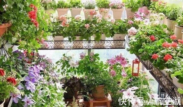 造园|7㎡迷你“阳台造园”小阳台这样布置,也能美成的花园!