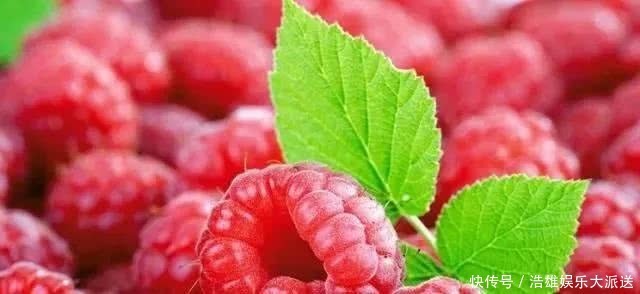 草莓|名字里带“莓”的水果,说出5种送你一辆保时捷,除了草莓还知道