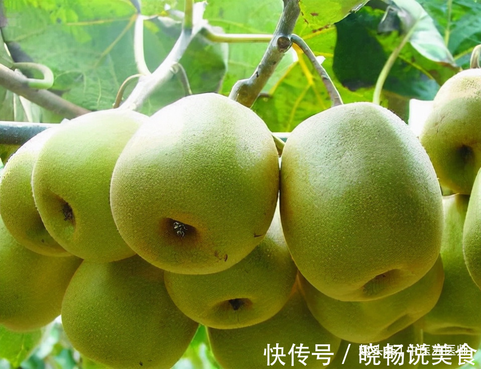 食物|女性秋天养生,不妨常吃3种食物,滋补身体,排毒活血,越吃越好