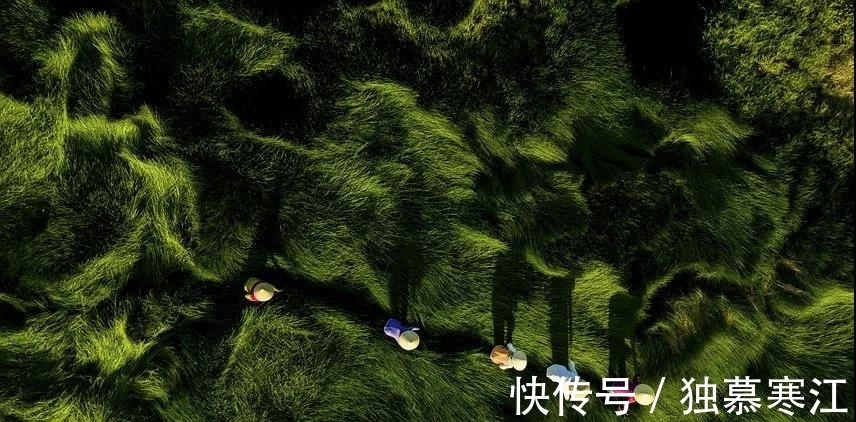 怀德$让人生之路,越走越宽