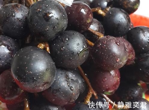 益气|以下几种野果功效强大,补血益气,降三高,还能保护心血管