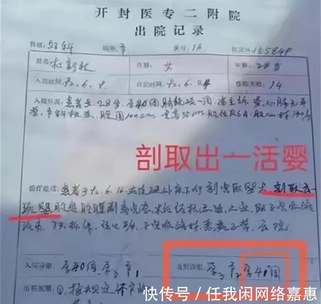 审批表|错换人生引产后的杜新枝,婴儿从哪里来