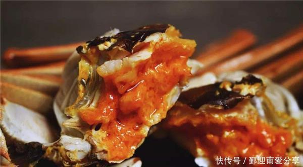 挑选|如何挑选大闸蟹?资深养蟹人告诉你,看准“3点”,蟹黄又多又好