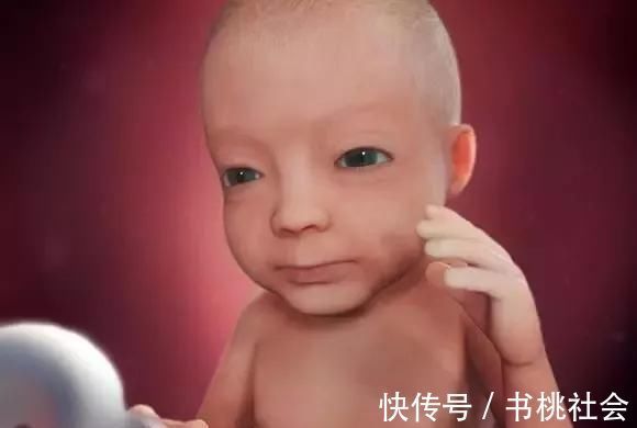 孕妈|子宫内胎儿0~40周，发育变化全过程，太神奇了！