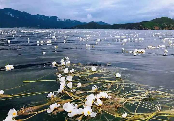 王氏|流金岁月I运河情思