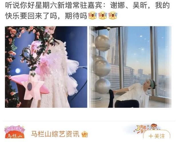 谢娜吴昕将加入“你好星期六”,维嘉一月录新节目,海涛忙于带货