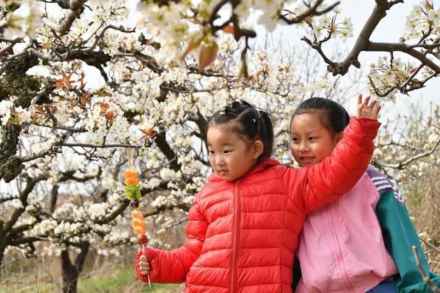 花开引客来