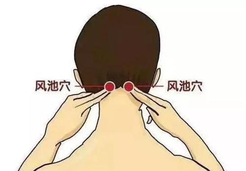 肠道|55岁,是长寿关键期,护“三处”,按“三穴”,离长寿更进一步