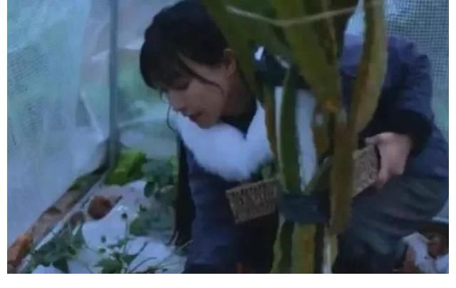 微念的格局太小！与其和李子柒两败俱伤，不如一笑泯恩仇