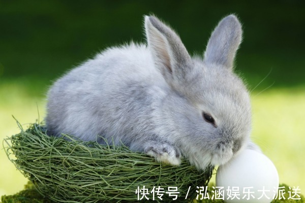 伴你一生|今年下半年，“生肖兔”别抛弃2个人，他们将陪伴你一生！