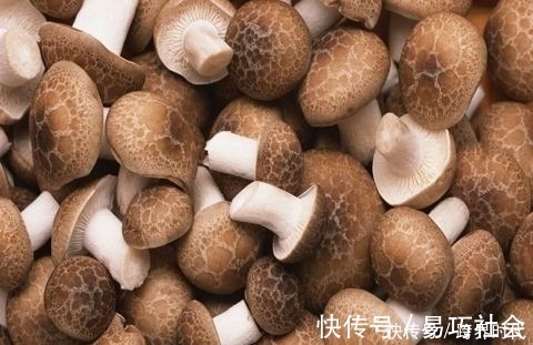 肠炎|香菇好吃营养,但医生提醒,这五种人一口都不能吃,有的赶紧改掉