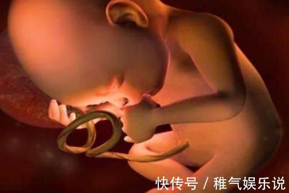 发育|胎宝待在妈妈肚子里10个月,但只在这3周发育智力,孕妈别错过