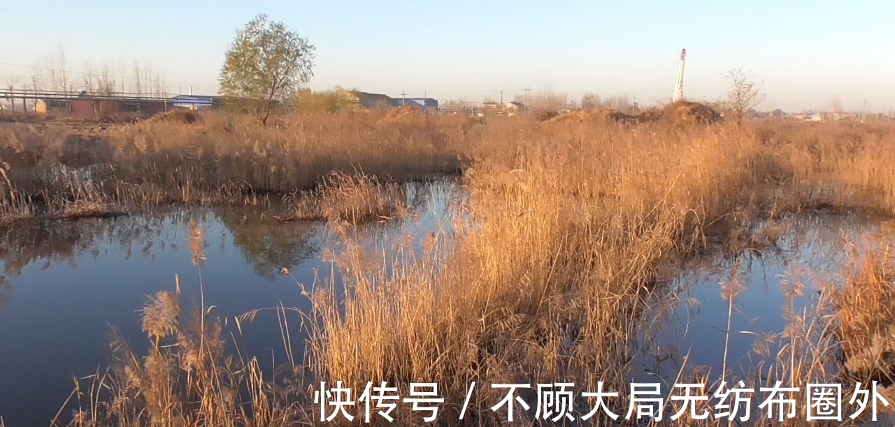 鱼窝都在什么位置?冬季找鱼比打窝更关键,30年老钓友告诉你