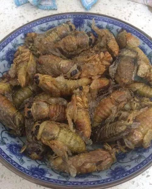 好吃|继皮皮虾后,又一“宵夜霸主”产生了,网友虽长得丑但却好吃