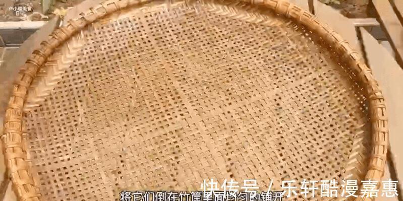 好吃|天气太热，晒点豆角，用来炒菜或者是煲汤都好吃