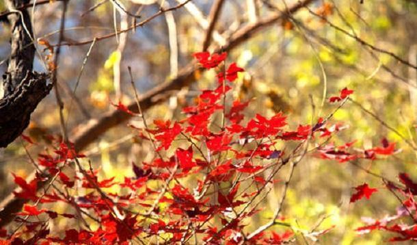 做人,不可好高骛远,更不可小看自己