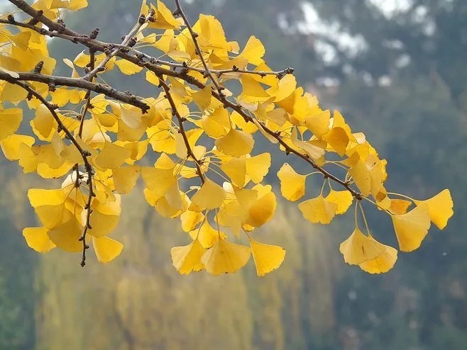 补水|立秋养生:润燥而不助湿
