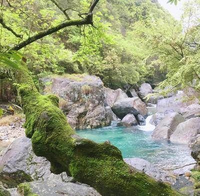 房琪喜欢的人间瑶池,拥有原生态的景色,