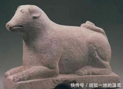 文字|宁夏博物馆珍贵的西夏文物!那些神秘的西夏文字,你认识吗?