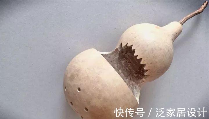 叶插|用葫芦种多肉，一养就是三年，邻居给钱都不卖