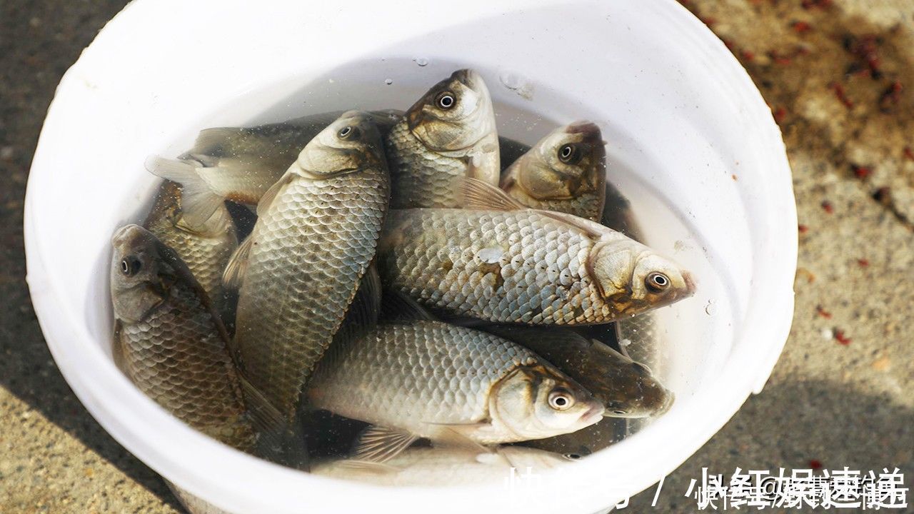 钓鱼|3段亲身经历，提醒钓友们，不要一人独自夜钓